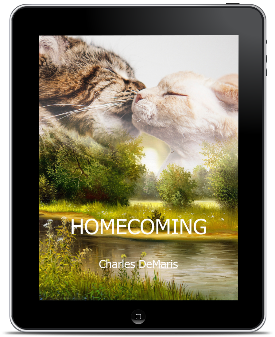 Homecoming ebook