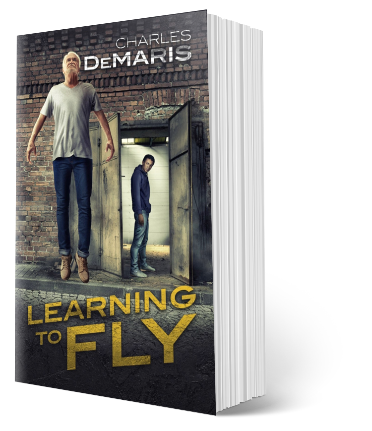 Learning to Fly paperback