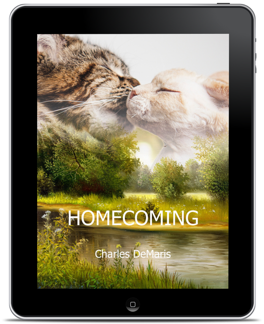 Homecoming ebook