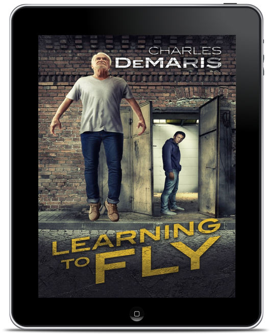 Learning to Fly ebook