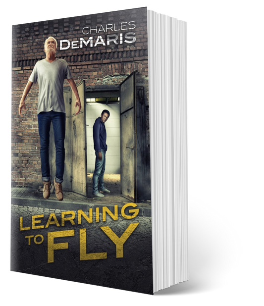 Learning to Fly paperback